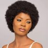 Short Afro Human Hair Wig